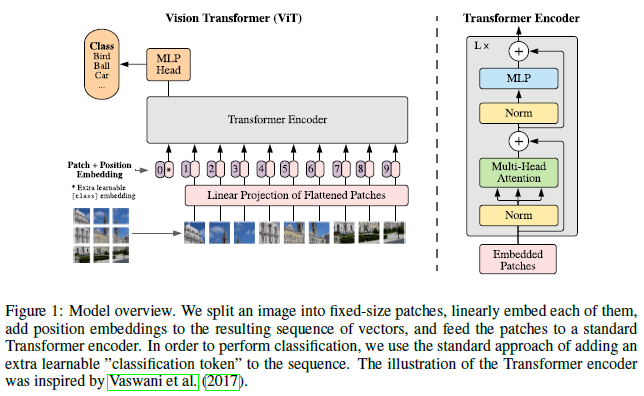 An Image is Worth 16x16 Words: Transformers for Image Recognition (Paper Explained)
